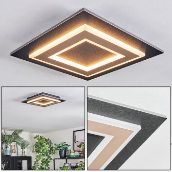 Lidor Plafonnier LED Noir, 1 lumière
