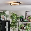 Lidor Plafonnier LED Noir, 1 lumière