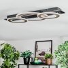 Lidor Plafonnier LED Chrome, Noir, 1 lumière