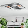 Hadel Plafonnier LED Couleur bois, Noir, 1 lumière