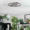 Hadel Plafonnier LED Couleur bois, Noir, 1 lumière