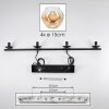 Ripoll Suspension, Boule lumineuse, Suspension Ambre, Clair, 4 lumières