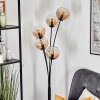 Koyoto Boule lumineuse, Lampadaire Ambre, Clair, 5 lumières