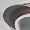 Lynor Plafonnier LED Anthracite, Noir, 1 lumière