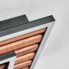 Meron Plafonnier LED Couleur bois, Noir, 1 lumière