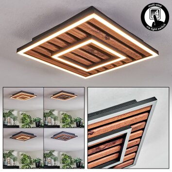 Meron Plafonnier LED Couleur bois, Noir, 1 lumière