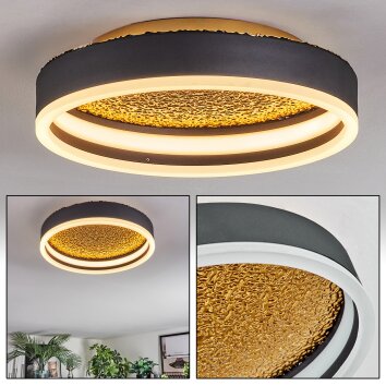 Guine Plafonnier LED Or, Noir, 1 lumière