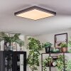 Salmi Plafonnier, Panel LED Gris, Argenté, 1 lumière, Télécommandes