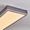Salmi Plafonnier, Panel LED Gris, Argenté, 1 lumière