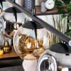 Ripoll Suspension, Boule lumineuse, Suspension Ambre, Fumé, 4 lumières