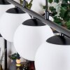 Gastor Suspension, Boule lumineuse, Suspension Blanc, 5 lumières