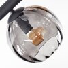 Koyoto Plafonnier, Boule lumineuse Ambre, Clair, Fumé, 10 lumières