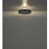 Carney Ventilateur de plafond lumineux Luminaires Globo Lighting LED Blanc, 1 lumière, Télécommandes