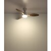 Gale Ventilateur de plafond lumineux Luminaires Globo Lighting LED Couleur bois, Écru, Blanc, 1 lumière, Télécommandes