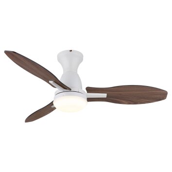 Gale Ventilateur de plafond lumineux Luminaires Globo Lighting LED Couleur bois, Écru, Blanc, 1 lumière, Télécommandes