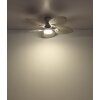 Elise Ventilateur de plafond lumineux Luminaires Globo Lighting LED Gris, Blanc, 1 lumière, Télécommandes