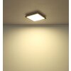 Fitzpatrick Plafonnier Luminaires Globo Lighting LED Noir, 1 lumière