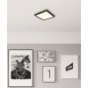 Fitzpatrick Plafonnier Luminaires Globo Lighting LED Noir, 1 lumière