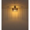 Gorley Plafonnier Luminaires Globo Lighting Noir, 1 lumière