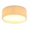 Page Plafonnier Luminaires Globo Lighting Blanc, 2 lumières
