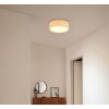 Page Plafonnier Luminaires Globo Lighting Blanc, 2 lumières