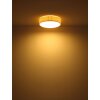 Page Plafonnier Luminaires Globo Lighting Blanc, 4 lumières