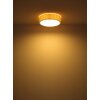 Page Plafonnier Luminaires Globo Lighting Blanc, 3 lumières