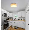 Page Plafonnier Luminaires Globo Lighting Blanc, 3 lumières