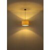 Page Suspension Luminaires Globo Lighting Noir, 1 lumière