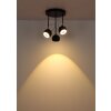 Donovan Plafonnier Luminaires Globo Lighting LED Chrome, Noir, 1 lumière