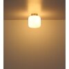 Kladora Plafonnier Luminaires Globo Lighting Nickel mat, 1 lumière