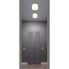 Kladora Plafonnier Luminaires Globo Lighting Nickel mat, 1 lumière
