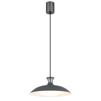 Rocha Suspension Luminaires Globo Lighting LED Gris, 1 lumière