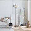 Greys Lampadaire Luminaires Globo Lighting Noir, 1 lumière