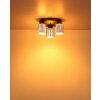Felicia Plafonnier Luminaires Globo Lighting Noir, 3 lumières