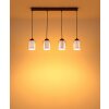 Felicia Suspension Luminaires Globo Lighting Noir, 4 lumières