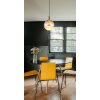 Severin Suspension Luminaires Globo Lighting LED Noir, 1 lumière