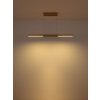 Cody Suspension Luminaires Globo Lighting LED Or, 1 lumière