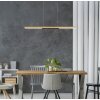 Cody Suspension Luminaires Globo Lighting LED Or, 1 lumière