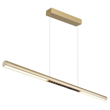 Cody Suspension Luminaires Globo Lighting LED Or, 1 lumière