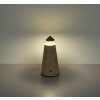 Liva Lampe à poser Luminaires Globo Lighting LED Gris, 1 lumière