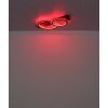 Jayden Plafonnier Luminaires Globo Lighting LED Gris, Noir, 1 lumière, Télécommandes, Changeur de couleurs