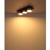Raymond Plafonnier Luminaires Globo Lighting LED Anthracite, Noir, 1 lumière