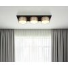 Raymond Plafonnier Luminaires Globo Lighting LED Anthracite, Noir, 1 lumière