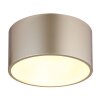 Raymond Plafonnier Luminaires Globo Lighting LED Or, 1 lumière