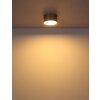 Raymond Plafonnier Luminaires Globo Lighting LED Or, 1 lumière