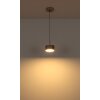 Raymond Suspension Luminaires Globo Lighting LED Anthracite, Noir, 1 lumière