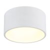 Raymond Plafonnier Luminaires Globo Lighting LED Blanc, 1 lumière Raymond Plafonnier Luminaires Globo Lighting LED Blanc, 1 lumière