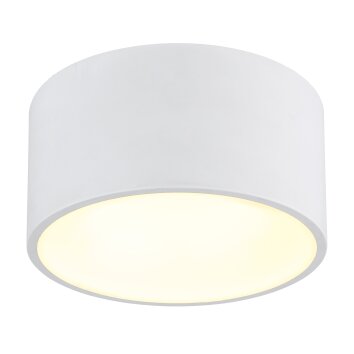 Raymond Plafonnier Luminaires Globo Lighting LED Blanc, 1 lumière