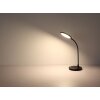 Kenny Lampe à poser Luminaires Globo Lighting LED Noir, 1 lumière